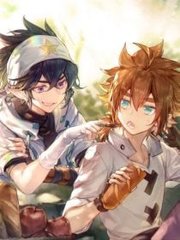 红杏入口hx1cc